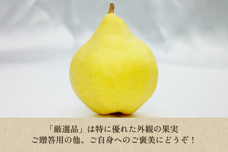 【2026年先行予約】たかはし果樹園 謹製 新潟特産 幻の洋梨ル・レクチェ 厳選品 約4kg 《11月下旬～順次配送》