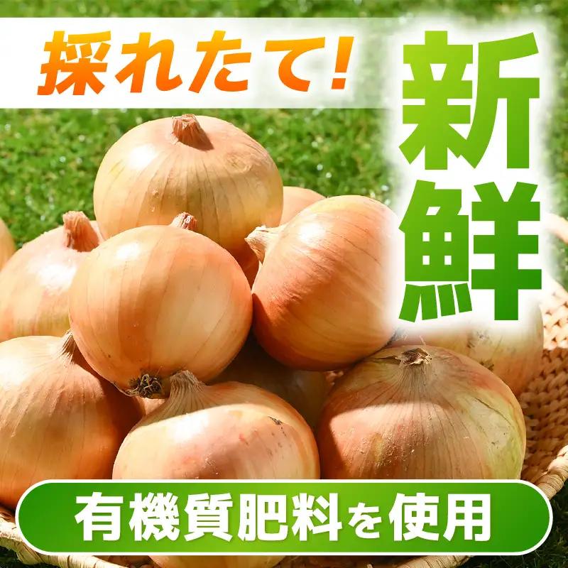 【先行予約】採れたて 新玉ねぎ 5kg（サイズ S M L ミックス）田んぼで育てた甘くて柔らか自慢の玉ねぎ！／ 常備 野菜 玉葱 たまねぎ 新鮮 ※2027年6月上旬以降順次発送予定  [aw056