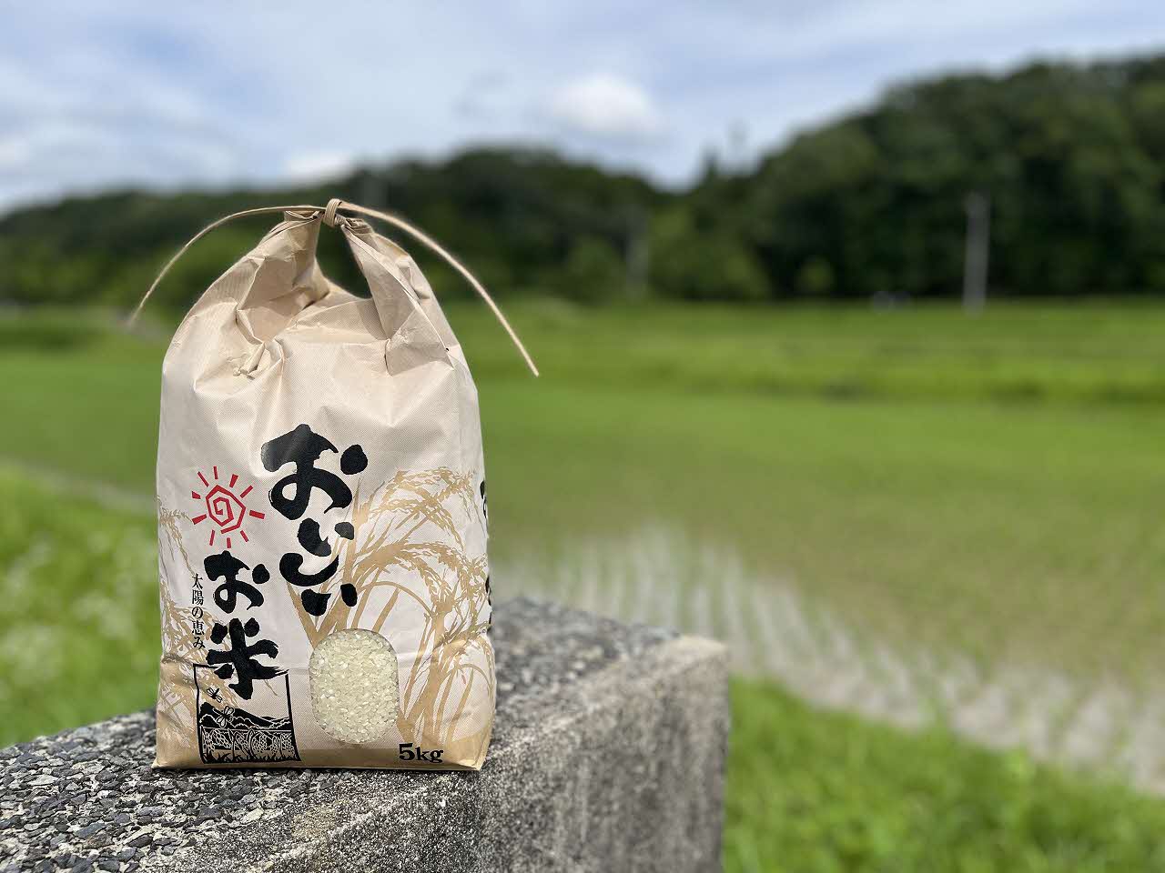 米 令和7年産 加東市東条地区産 ヒノヒカリ 白米 5kg [ 新米 お米 こめ コメ ]