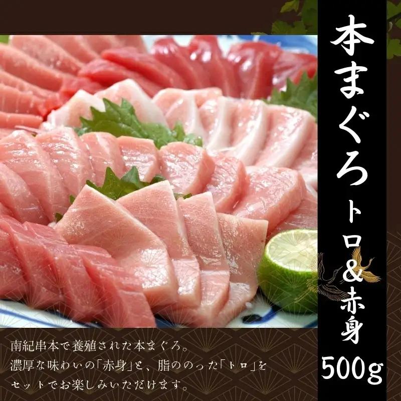 【3回定期便】お刺身定期便 王道 鰹たたき 本マグロ サーモン【tkb385-2】