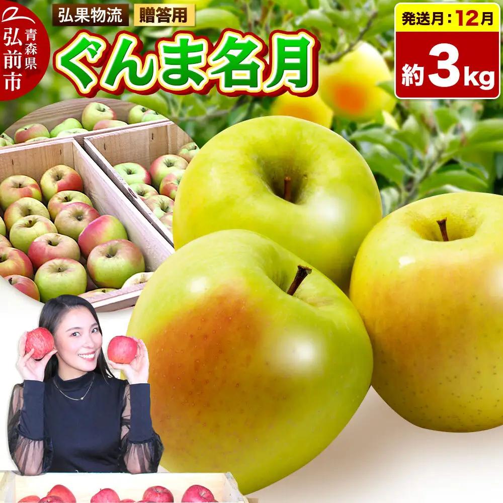 【26年12月発送】りんご ぐんま名月【贈答用】約3kg 先行受付 青森県 弘前市 果物 フルーツ 林檎 リンゴ くだもの ギフト 贈り物