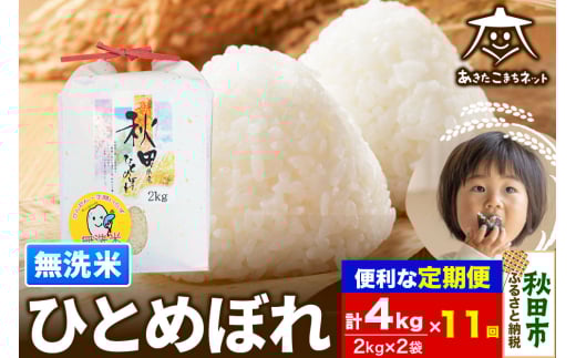 《定期便11ヶ月》ひとめぼれ 4kg(2kg×2袋)【無洗米】 秋田市産