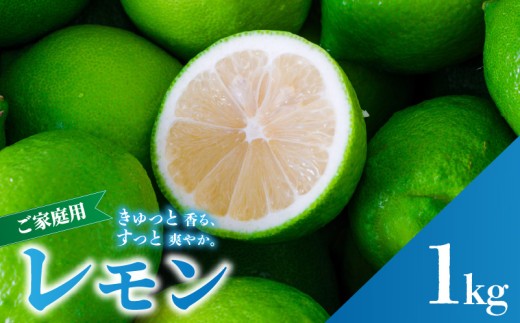 グリーンレモン 家庭用 お試し 1kg 防腐剤 ワックス 不使用 【2026年9月下旬頃から順次発送】｜ 訳あり レモン 檸檬 完熟 柑橘 酸味 国産 愛媛県産 訳あり 新鮮 愛媛 松山  蓮果園