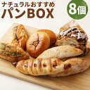 【ふるさと納税】ナチュラルおすすめパンBOX 8個入り 7種類 セット パン 総菜パン 菓子パン あんぱん フランスパン デニッシュ ウインナー 食べ比べ 冷凍 送料無料