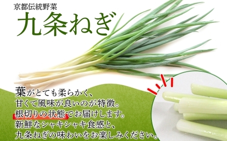 九条ねぎ 原体 根切り 3kg 京のおねぎはん 野菜 京野菜 野菜 野菜