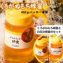 【ふるさと納税】国産純粋はちみつ【選べるセット！】くろがねもち蜂蜜　450g　☆液だれしにくいパッカー容器入り☆