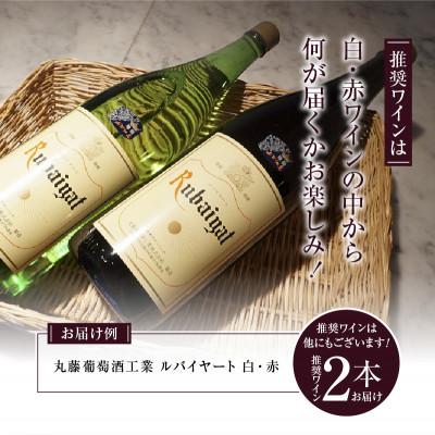 ふるさと納税 甲州市 勝沼ぶどうの丘推奨一升瓶ワイン おまかせ赤白2本セット　1.8L×2本(KBO)C-650 |  | 01