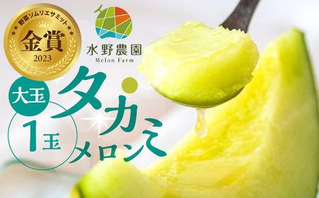 【先行予約】2027年7月お届け タカミメロン 大玉１玉 メロン 水野農園