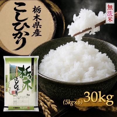 ふるさと納税 矢板市 《無洗米》【令和8年産新米】【食味鑑定士厳選】栃木県産コシヒカリ30kg(5kg×6袋)(矢板市)