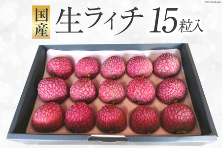 【期間限定発送】 生ライチ 15粒入り [大黒園 宮崎県 日向市 452060925] 果物 フルーツ 国産 宮崎産