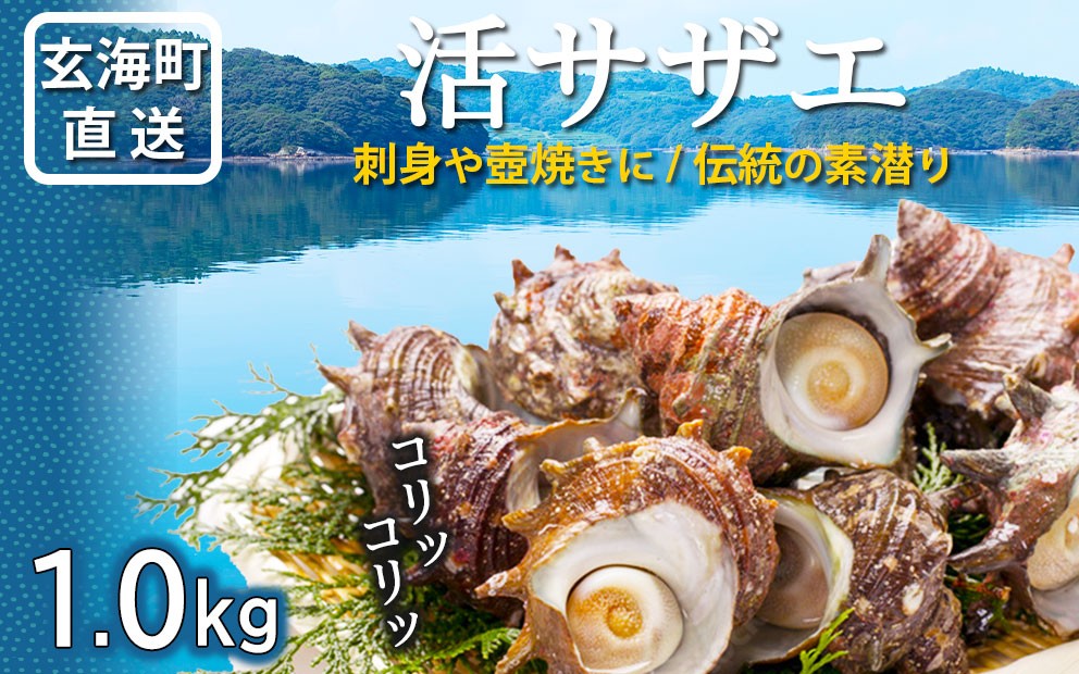 
            玄海町産 活サザエ 1.0kg ／ 数量限定 希少 貝 魚介 魚介類 海鮮 海産物 サザエ 刺身 壺焼き つぼ焼き バーベキュー BBQ 国産 佐賀県 玄海町【A186】
          