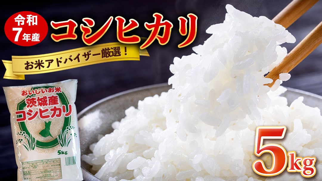 
                  【最短3～7営業日出荷】 コシヒカリ 精米 5kg 令和7年産 産地直送 茨城県 城里町 精白米 米 ご飯 こしひかり 米 白米 精米 単一原料米 (AX018)
                