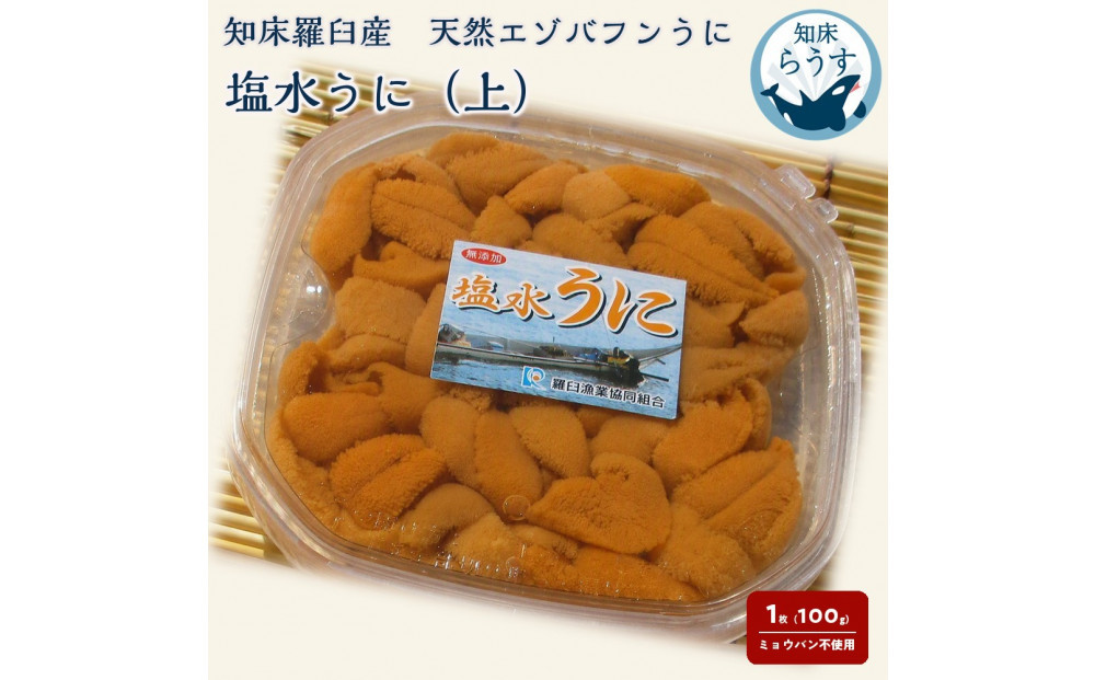 【先行予約/2026年1月より発送】天然 エゾバフンうに （上）塩水うに 100g （100g×1枚）ミョウバン不使用 北海道知床羅臼産 016942_BY001