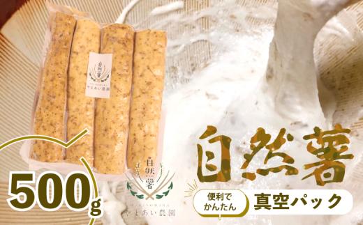 【 2026年度予約受付 】500g 自然薯 真空パック 使い切り パック 便利 じねんじょ 山芋 ヤマイモ 山いも とろろ とろろ汁 とろろご飯 ご飯のお供 ジネンジョ 家庭用 贈答用 贈り物 ギフト プレゼント おすすめ 産地直送 農家直送 産直 直送 静岡県産 牧之原産 静岡自然薯 いも お土産 とろろごはん やまいも 野菜 芋 イモ 和食 ご飯 ランキング やまあい農園 静岡県 牧之原市