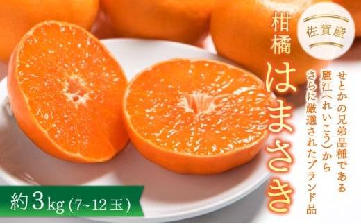 【先行予約】佐賀産柑橘「はまさき」 約3kg(7-12玉) / ふるさと納税 佐賀 フルーツ 濃厚 甘い 酸味 大町 贈答 ギフト 贈り物