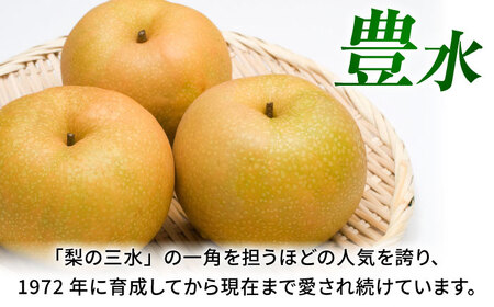 【先行予約】【数量限定】豊水梨　約10kg 【日本フルーツ株式会社】[ZFJ014]