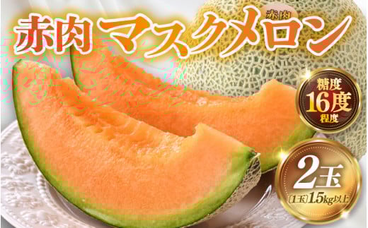 【先行予約】赤肉パリスメロン 秀品 2玉（1.5kg以上×2玉）【アールス系赤肉メロン】《糖度16度程度！1株1果採りで育てる高級メロン！》／ 果物 フルーツ 農家直送 赤肉 マスクメロン アールスメロン ギフト 贈答用 ※2025年7月上旬より順次発送予定 [aw028-a017]