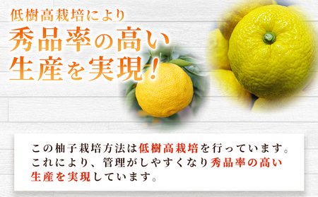 ＜柚子 秀 Lサイズ 18個＞ 約2kg 2000g ゆず 国産 果物 フルーツ 低樹高栽培 おいしい JAひがしうわ 東宇和農業協同組合 愛媛県 西予市【常温】『2025年10月下旬～11月下旬迄に