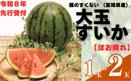 103001　山中農園のスイカ　1玉