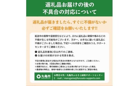 2027年発送 いちご さぬきひめ 約1kg 苺いちご