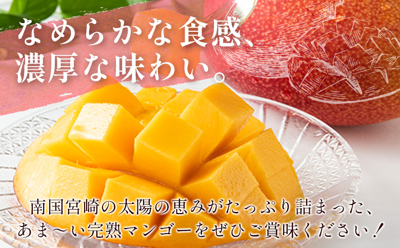 ＜先行予約＞宮崎県産 完熟マンゴー2Lサイズ2玉 国産 数量限定 人気 くだもの 【B510-25】