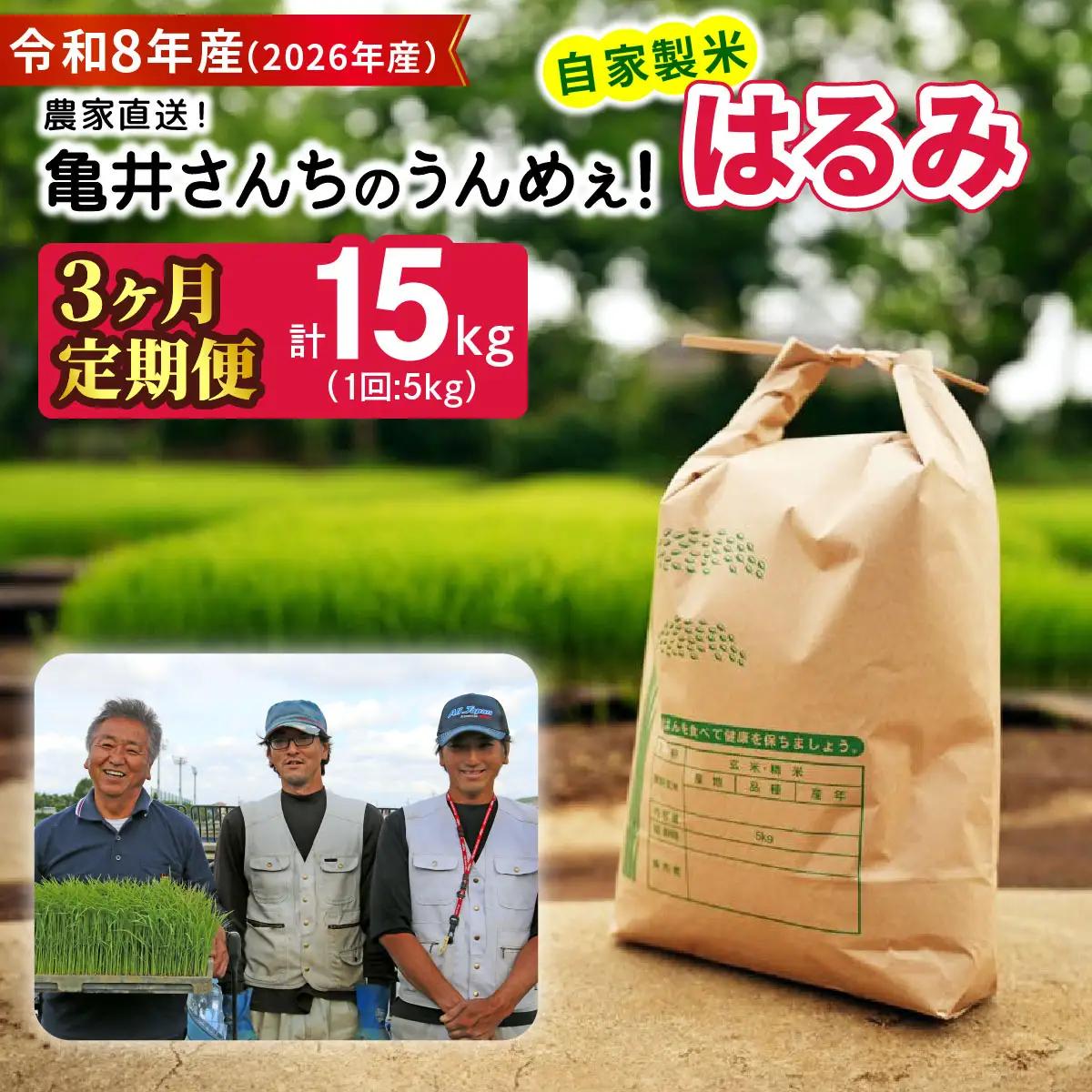 新米 [定期便／3ヶ月連続][令和8年産／10月中旬より順次発送] 伊勢原産 精米 5kg はるみ 農家直送！亀井さんちのうんめぇ！自家製米 [1137]