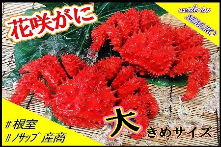 [12月21日決済分まで年内配送]【北海道根室産】花咲がに2尾(計1.3kg) F-59005