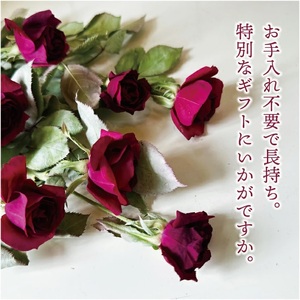 SL0241　12本の赤バラのフリーズドライアレンジ「ラヴィアン・ローズ」水のいらない花　ゼロフラワー