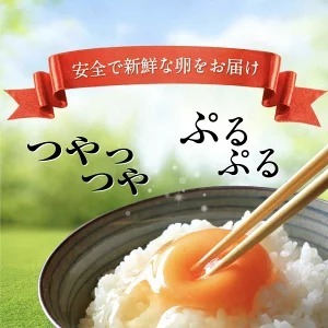 【定期便6ヶ月】匠の卵 20個(割れ玉補償２個）7％の卵｜たまご　卵　玉子　鶏卵　生卵　プレミアム　優秀賞　愛知県　美浜町　国産　産直　卵黄　卵かけご飯