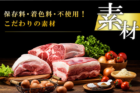 【3月中発送】1957年創業 特上ハンバーグ 140g×10個(合計1.4kg) 「唐津バーグ」商標登録済!! 冷凍真空パック 惣菜「2024年 令和6年」