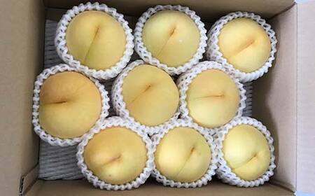 《2025年先行予約》 山形県産 黄桃 ＜あか月姫＞ 秀品 約2kg 玉数おまかせ FSY-2011