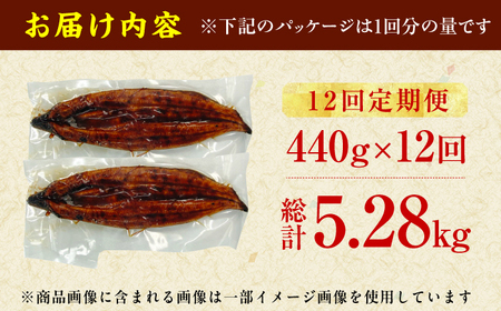 【12回定期便】特大蒲焼（220g×2尾）魚 うなぎ ウナギ 土用の丑の日 鰻 かば焼き 蒲焼き 広川町 / イールファクトリー株式会社[AFBS008]