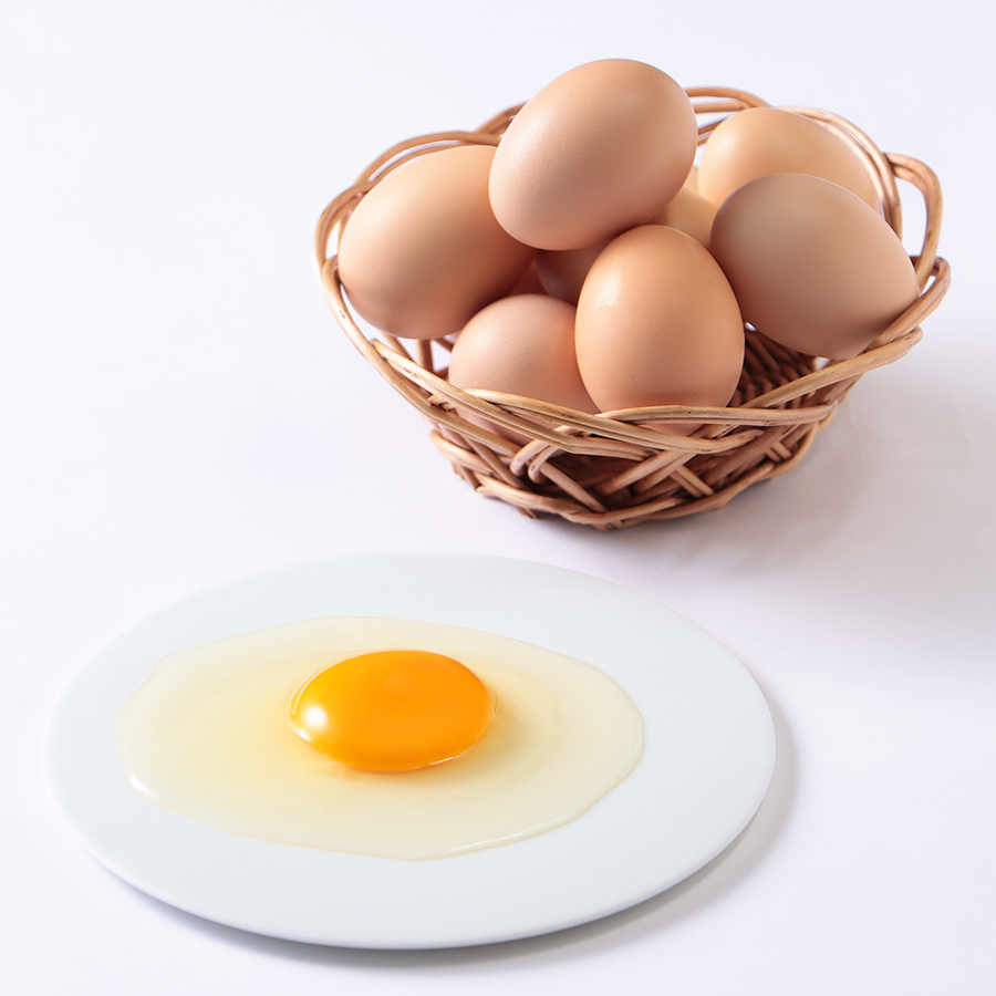 ＜とさやま養鶏場＞土佐ジロー鶏卵(10個×2パック)