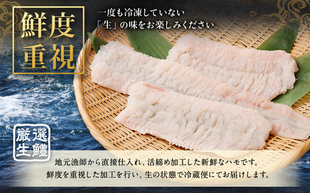 のぞみ水産 活〆 骨切り 生鱧 500g 【2025年5月上旬から12月上旬発送予定】