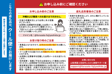 【2025年先行予約】【3回定期便】厳選 旬のフルーツ定期便（桃3玉・黒ぶどう1房・シャインマスカット1房）　もも 黑ブドウ シャイン マスカット ぶどう 果物 おひとりさま 贅沢 ミニマム 定期便3