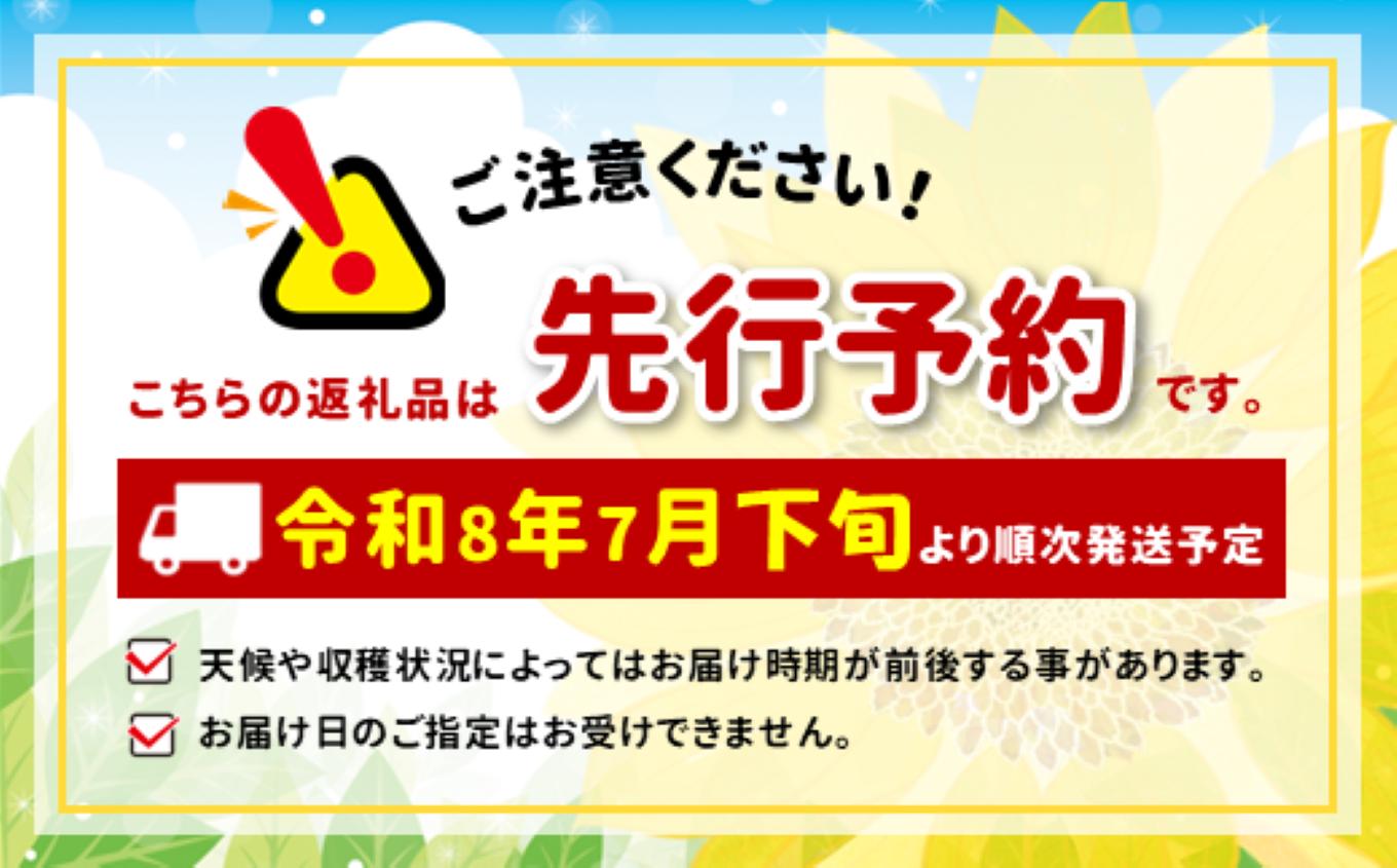 【7月下旬より順次発送】南信州産「桃」あかつき 約3kg 10~12玉 | 果物 くだもの フルーツ 桃 あかつき モモ もも 長野県 信州 南信州 飯田市