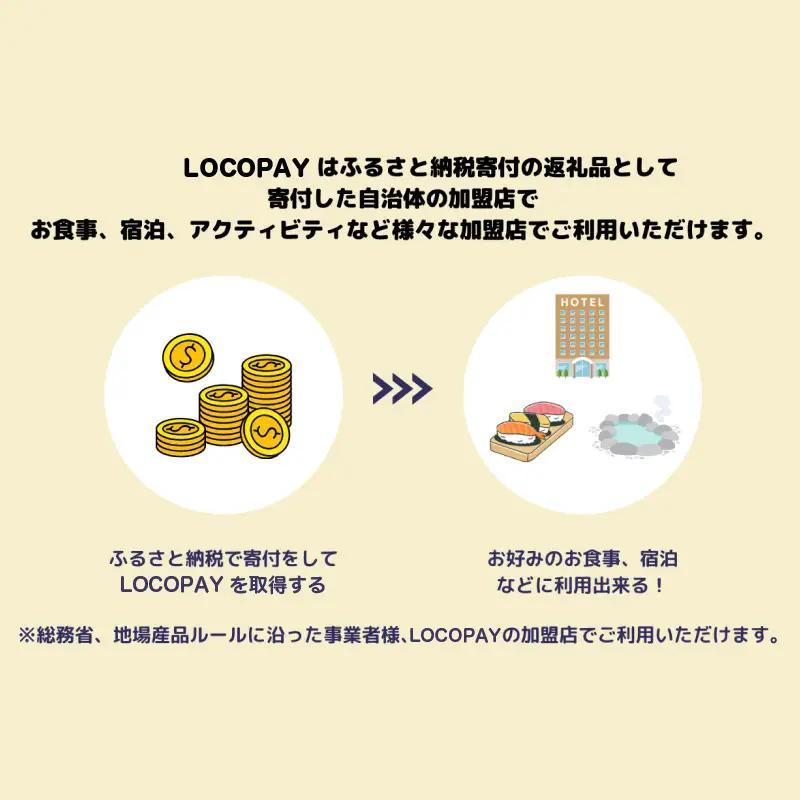 LOCOPAYデジタル返礼ポイント【30,000ポイント】_B167-004