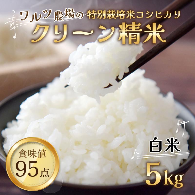 【令和6年産 新米】ワルツ農場のコシヒカリ クリーン精米 5kg 特別栽培米【驚きの食味値95点！納得の美味しさ】減農薬 有機肥料使用 / かにからこしひかり お米 ご飯 白米 発送直前 精米 つや 艶 甘味 旨み 北陸 あわら市産 福井県産 ブランド米