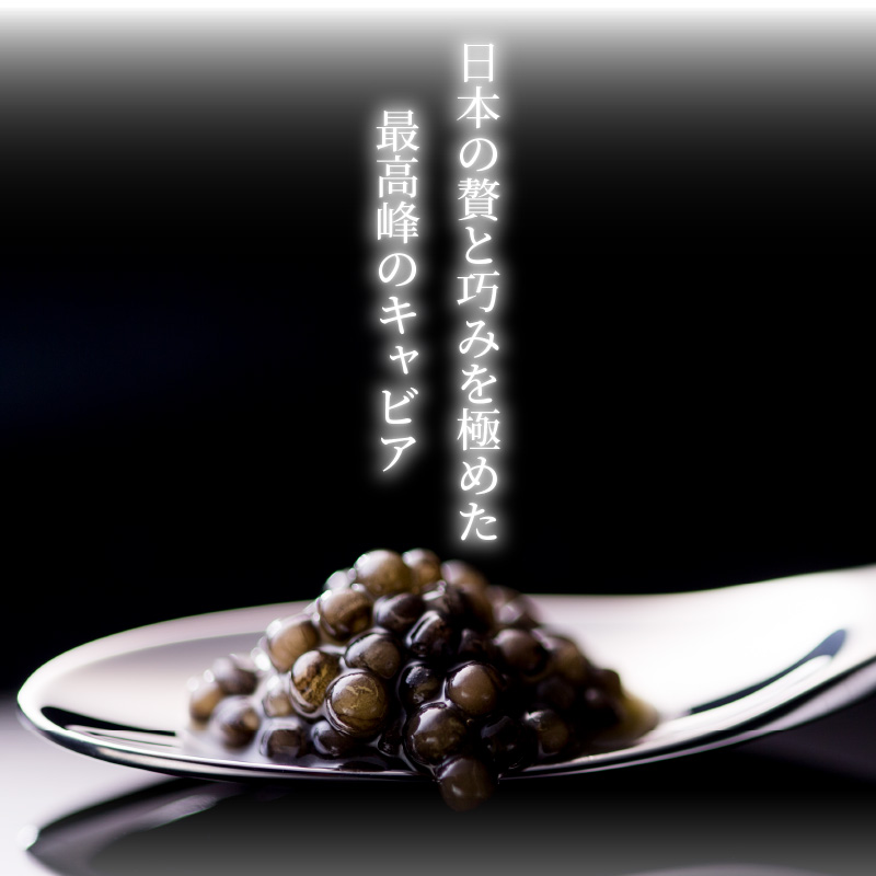 宮崎キャビア 1983 & 1983 J.CAVIAR オシェトラ 食べ比べセット 12g×2個セット　D095