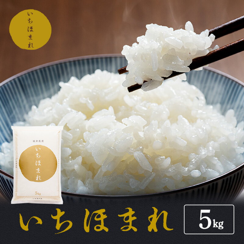 【ふるさと納税】お米 令和7年産 5kg いちほまれ 高級ブランド米 おこめ コメ こめ 白米 精米 ご飯 ごはん 新ブランド米 福井の新ブランド米 福井県若狭町 福井　お届け：2026年10月より順次発送