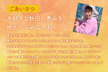 秋田県産 手摘み冷凍ブルーベリー 100g×10パック
