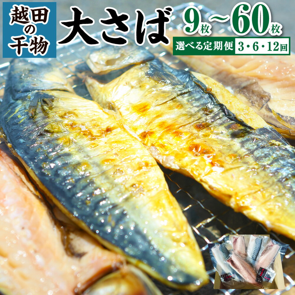 【ふるさと納税】＜選べる定期便＞ 越田の干物 大さば 1回あたり 3枚または5枚 合計9枚～60枚 定期便 3回 6回 12回 魚 鯖 文化干し 塩 さば サバ 干物 神栖市 茨城県 送料無料