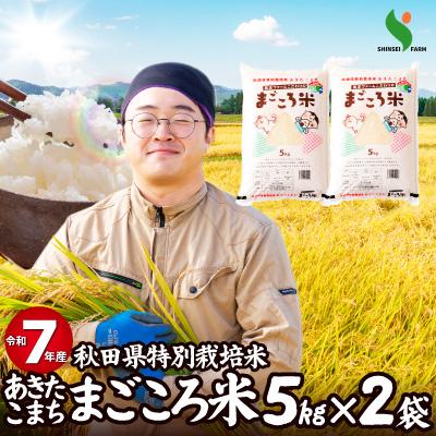 ふるさと納税 大館市 【令和7年産】秋田県特別栽培米あきたこまち「まごころ米」10kg