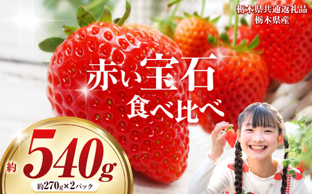【先行予約】赤い宝石「とちあいか」「スカイベリー」食べ比べ 約540ｇ【栃木県共通返礼品】