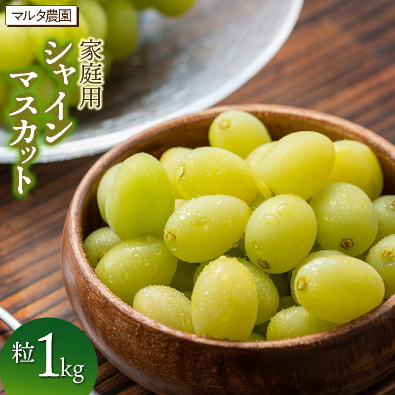 【ふるさと納税】【令和8年3月13日まで発送】家庭用シャインマスカット 【粒】1kg　マルタ農園