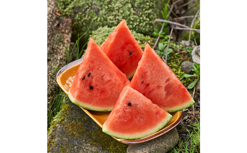 【2025年7月～発送】すいか 2L 1玉 ≪6kg以上≫ 北海道 富良野市 (スイートベジタブルファクトリー) フルーツ 果物 新鮮 甘い 贈り物 ギフト 道産 おやつ デザート ふらの ブランド 