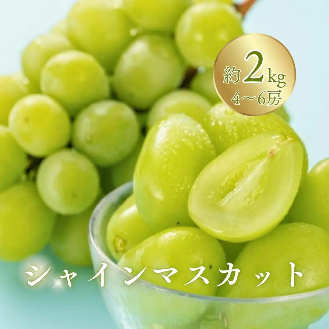 訳あり シャインマスカット 家庭用 約2kg（4~6房）※最低1.8キロ以上 | シャインマスカット