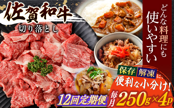 【12回定期便】佐賀和牛 切り落とし 計1kg(250g×4p) / 佐賀和牛 佐賀県産黒毛和牛 牛肉【一ノ瀬畜産】 [NAC167]