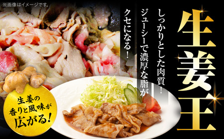 訳あり　豚生姜焼き　《生姜王》3kg盛り　秘伝のタレ漬け　焼くだけ簡単生姜焼き|肉 豚肉 生姜焼き 生姜 秘伝 タレ タレ漬け コク ジューシー 濃厚 切り落とし 冷凍 香川県 三木町 おすすめ|_m