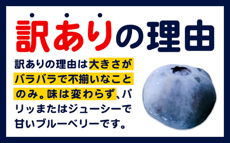 【2026年先行予約】【訳あり数量限定】ブルーベリー 計2kg (500g×4パック) ブルーベリーの宝石箱 かさおか青空ファーム 先行予約《2026年6月上旬-8月下旬頃出荷》 岡山県 笠岡市 送料